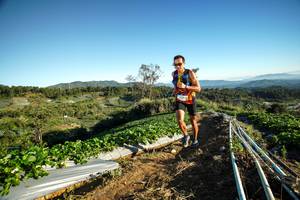 BIB: 
                            <button type="button" onclick="openModal(19111005)" class="btn btn-primary btn-sm float-right btn-popup" data-toggle="modal" data-target=".modal-high-quality">
                        <i class="fas fa-shopping-cart"></i> Add to Cart
                    </button>
                                            <button type="button" onclick="isThisMe(19111005, true)" class="btn btn-success btn-sm float-right btn-popup btn-isme hidden" data-toggle="tooltip" data-placement="bottom" title="นี่คือรูปของคุณใช่ไหม คลิกที่นี่เพื่อเอาเข้าอัลบั้ม">
                        <i class="fas fa-plus"></i> Add to album
                    </button>
                    <button type="button" onclick="isThisMe(19111005, false)" class="btn btn-warning btn-sm float-right btn-popup btn-isnotme hidden">
                        <i class="fas fa-ban"></i> Remove from album
                    </button>